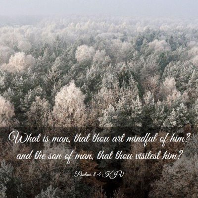 Picture 03 - Psalms 8:4 KJV - What is man, that thou art mindful of him? and - Bible Verse Picture