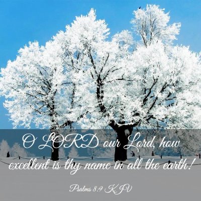 Picture 03 - Psalms 8:9 KJV - O LORD our Lord, how excellent is thy name in all - Bible Verse Picture