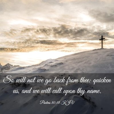Picture 03 - Psalms 80:18 KJV - So will not we go back from thee: quicken us, and - Bible Verse Picture