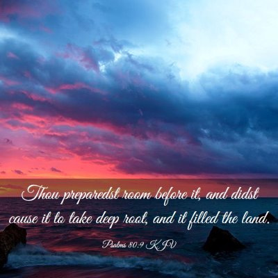 Picture 03 - Psalms 80:9 KJV - Thou preparedst room before it, and didst cause - Bible Verse Picture