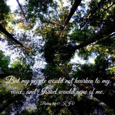 Picture 03 - Psalms 81:11 KJV - But my people would not hearken to my voice; and - Bible Verse Picture