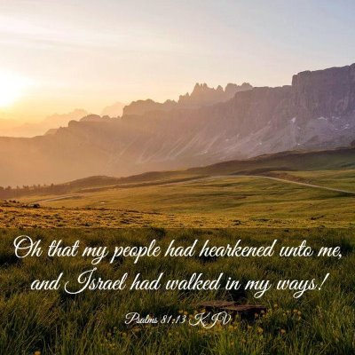 Picture 03 - Psalms 81:13 KJV - Oh that my people had hearkened unto me, and - Bible Verse Picture