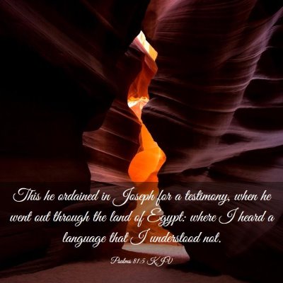 Picture 03 - Psalms 81:5 KJV - This he ordained in Joseph for a testimony, when - Bible Verse Picture