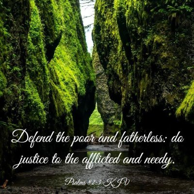 Picture 03 - Psalms 82:3 KJV - Defend the poor and fatherless: do justice to the - Bible Verse Picture