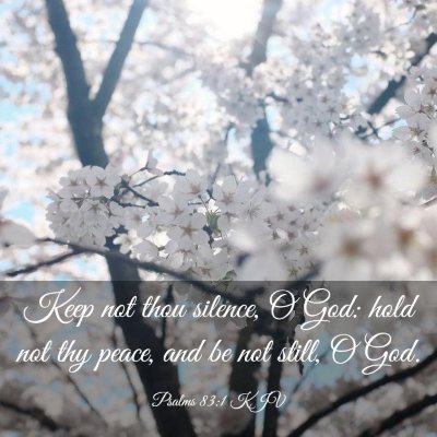 Picture 03 - Psalms 83:1 KJV - Keep not thou silence, O God: hold not thy peace, - Bible Verse Picture