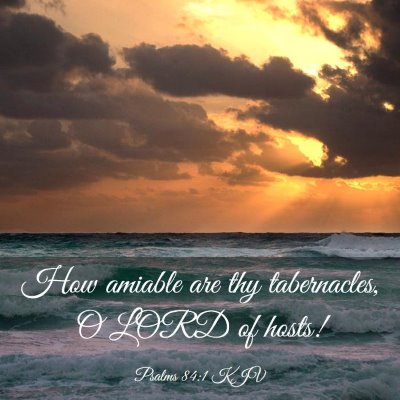 Picture 03 - Psalms 84:1 KJV - How amiable are thy tabernacles, O LORD of - Bible Verse Picture
