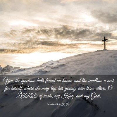 Picture 03 - Psalms 84:3 KJV - Yea, the sparrow hath found an house, and the - Bible Verse Picture