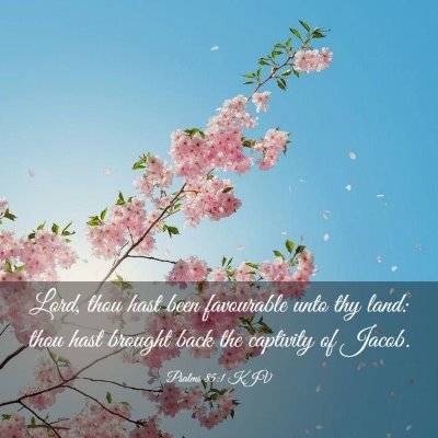 Picture 03 - Psalms 85:1 KJV - Lord, thou hast been favourable unto thy land: - Bible Verse Picture