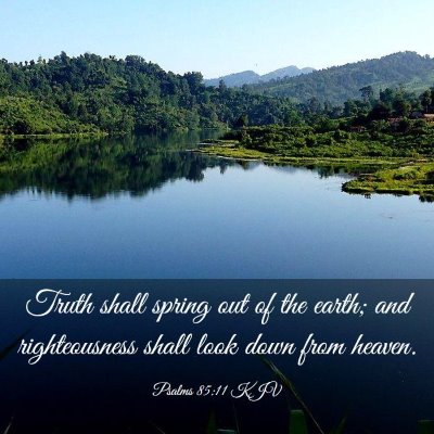 Picture 03 - Psalms 85:11 KJV - Truth shall spring out of the earth; and - Bible Verse Picture
