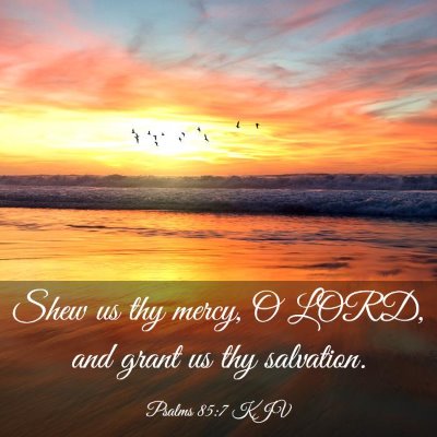 Picture 03 - Psalms 85:7 KJV - Shew us thy mercy, O LORD, and grant us thy - Bible Verse Picture