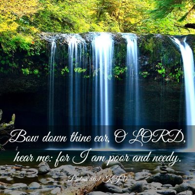 Picture 03 - Psalms 86:1 KJV - Bow down thine ear, O LORD, hear me: for I am - Bible Verse Picture