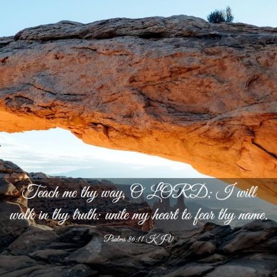 Picture 03 - Psalms 86:11 KJV - Teach me thy way, O LORD; I will walk in thy - Bible Verse Picture