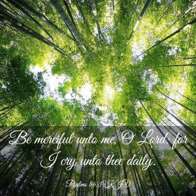 Picture 03 - Psalms 86:3 KJV - Be merciful unto me, O Lord: for I cry unto thee - Bible Verse Picture