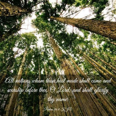 Picture 03 - Psalms 86:9 KJV - All nations whom thou hast made shall come and - Bible Verse Picture
