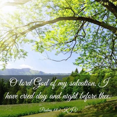 Picture 03 - Psalms 88:1 KJV - O lord God of my salvation, I have cried day and - Bible Verse Picture
