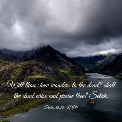 Picture 03 - Psalms 88:10 KJV - Wilt thou shew wonders to the dead? shall the - Bible Verse Picture