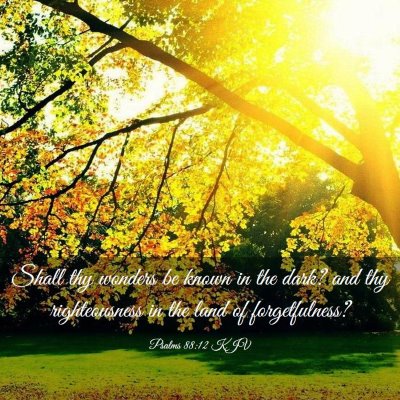 Picture 03 - Psalms 88:12 KJV - Shall thy wonders be known in the dark? and thy - Bible Verse Picture