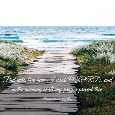 Picture 03 - Psalms 88:13 KJV - But unto thee have I cried, O LORD; and in the - Bible Verse Picture