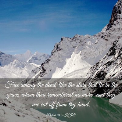 Picture 03 - Psalms 88:5 KJV - Free among the dead, like the slain that lie in - Bible Verse Picture