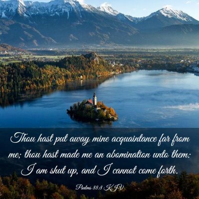 Picture 03 - Psalms 88:8 KJV - Thou hast put away mine acquaintance far from me; - Bible Verse Picture