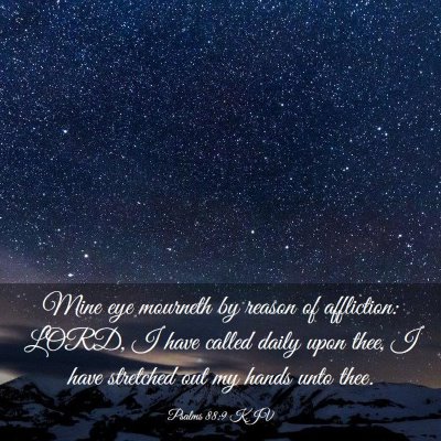 Picture 03 - Psalms 88:9 KJV - Mine eye mourneth by reason of affliction: LORD, - Bible Verse Picture