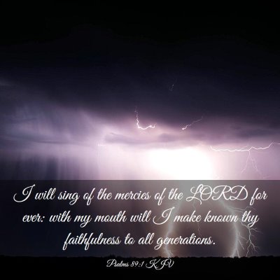 Picture 03 - Psalms 89:1 KJV - I will sing of the mercies of the LORD for ever: - Bible Verse Picture