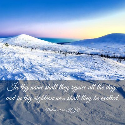 Picture 03 - Psalms 89:16 KJV - In thy name shall they rejoice all the day: and - Bible Verse Picture