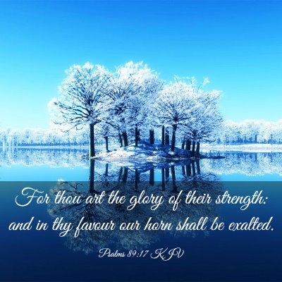 Picture 03 - Psalms 89:17 KJV - For thou art the glory of their strength: and in - Bible Verse Picture
