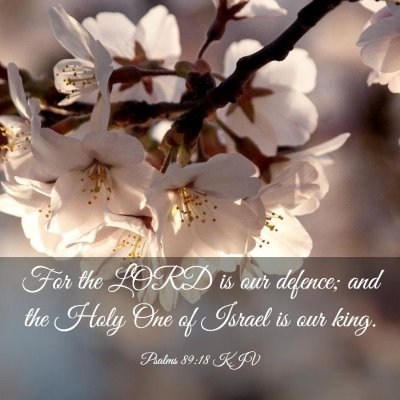 Picture 03 - Psalms 89:18 KJV - For the LORD is our defence; and the Holy One of - Bible Verse Picture