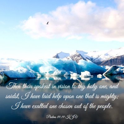Picture 03 - Psalms 89:19 KJV - Then thou spakest in vision to thy holy one, and - Bible Verse Picture