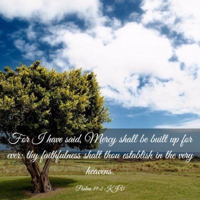 Picture 03 - Psalms 89:2 KJV - For I have said, Mercy shall be built up for - Bible Verse Picture