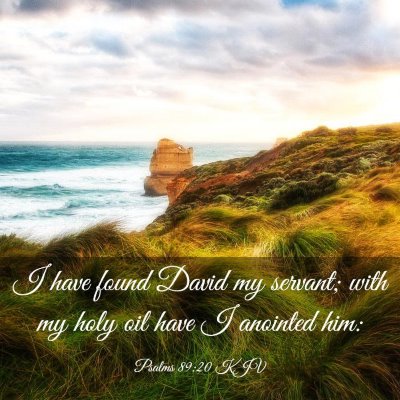 Picture 03 - Psalms 89:20 KJV - I have found David my servant; with my holy oil - Bible Verse Picture