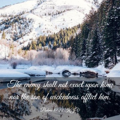 Picture 03 - Psalms 89:22 KJV - The enemy shall not exact upon him; nor the son - Bible Verse Picture