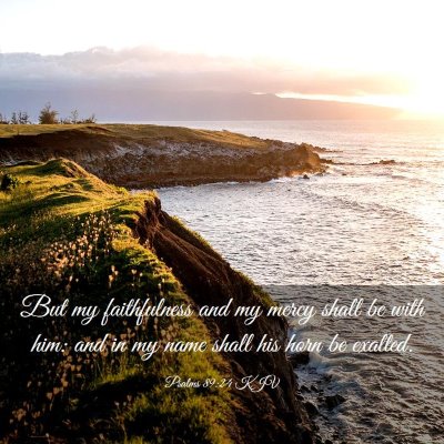 Picture 03 - Psalms 89:24 KJV - But my faithfulness and my mercy shall be with - Bible Verse Picture
