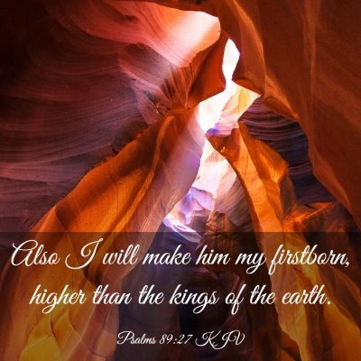 Picture 03 - Psalms 89:27 KJV - Also I will make him my firstborn, higher than - Bible Verse Picture