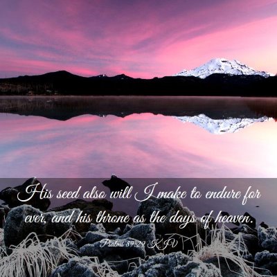 Picture 03 - Psalms 89:29 KJV - His seed also will I make to endure for ever, and - Bible Verse Picture