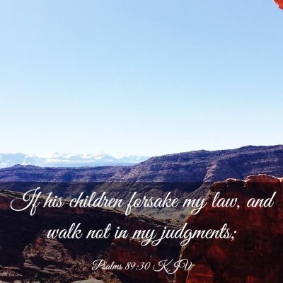 Picture 03 - Psalms 89:30 KJV - If his children forsake my law, and walk not in - Bible Verse Picture