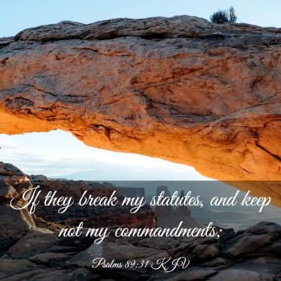 Picture 03 - Psalms 89:31 KJV - If they break my statutes, and keep not my - Bible Verse Picture