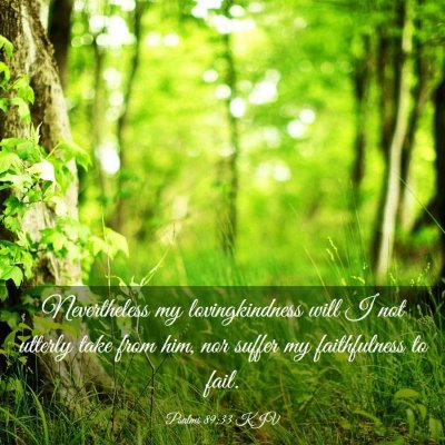 Picture 03 - Psalms 89:33 KJV - Nevertheless my lovingkindness will I not utterly - Bible Verse Picture