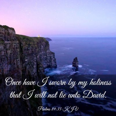 Picture 03 - Psalms 89:35 KJV - Once have I sworn by my holiness that I will not - Bible Verse Picture