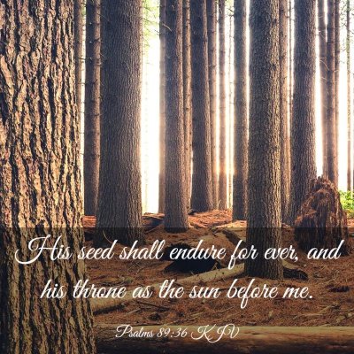 Picture 03 - Psalms 89:36 KJV - His seed shall endure for ever, and his throne as - Bible Verse Picture