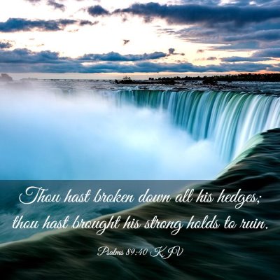 Picture 03 - Psalms 89:40 KJV - Thou hast broken down all his hedges; thou hast - Bible Verse Picture