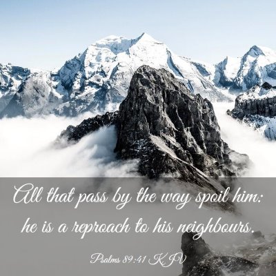 Picture 03 - Psalms 89:41 KJV - All that pass by the way spoil him: he is a - Bible Verse Picture