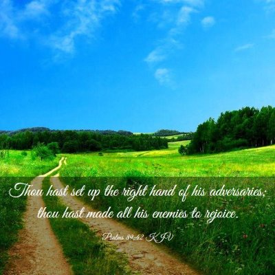 Picture 03 - Psalms 89:42 KJV - Thou hast set up the right hand of his - Bible Verse Picture