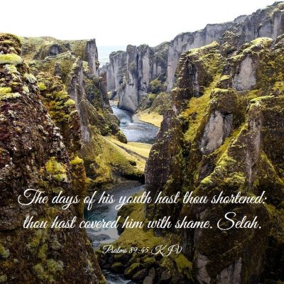 Picture 03 - Psalms 89:45 KJV - The days of his youth hast thou shortened: thou - Bible Verse Picture