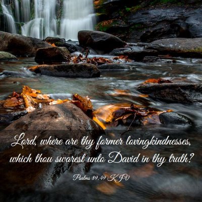 Picture 03 - Psalms 89:49 KJV - Lord, where are thy former lovingkindnesses, - Bible Verse Picture