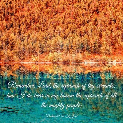 Picture 03 - Psalms 89:50 KJV - Remember, Lord, the reproach of thy servants; how - Bible Verse Picture