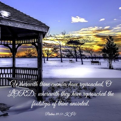 Picture 03 - Psalms 89:51 KJV - Wherewith thine enemies have reproached, O LORD; - Bible Verse Picture