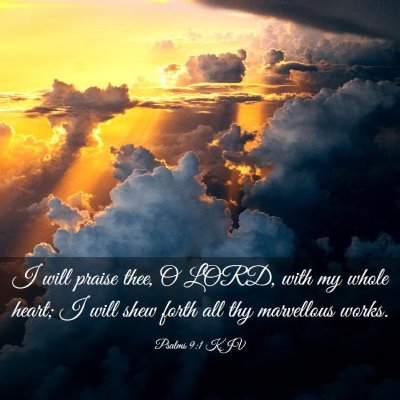 Picture 03 - Psalms 9:1 KJV - I will praise thee, O LORD, with my whole heart; - Bible Verse Picture