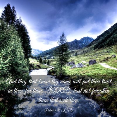 Picture 03 - Psalms 9:10 KJV - And they that know thy name will put their trust - Bible Verse Picture